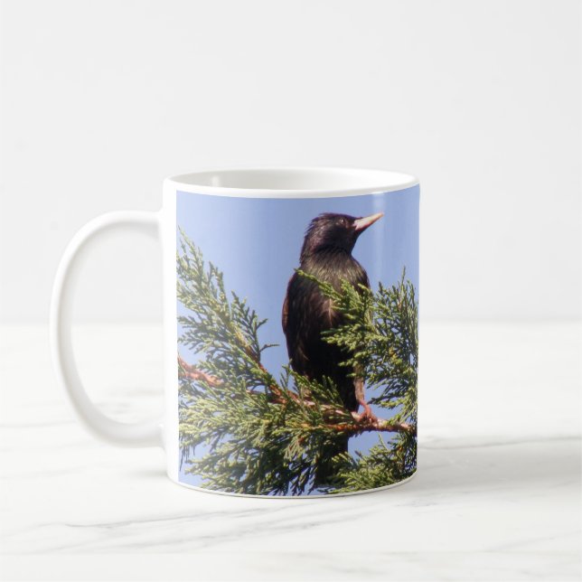 Starling in a Spruce Tree Custom Mug (Left)