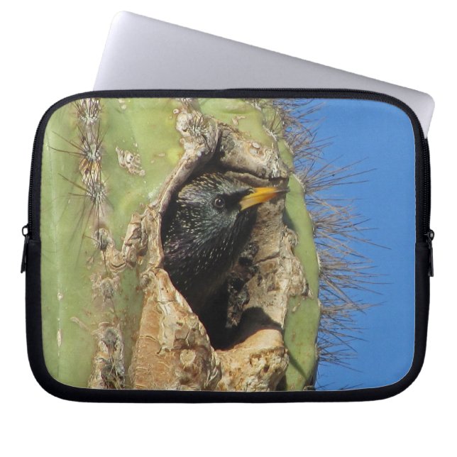 Starling in Saguaro Cactus Photo Southwest Bird Laptop Sleeve (Front)