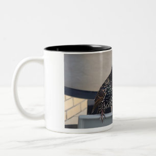 Starling Picture Two-Tone Coffee Mug