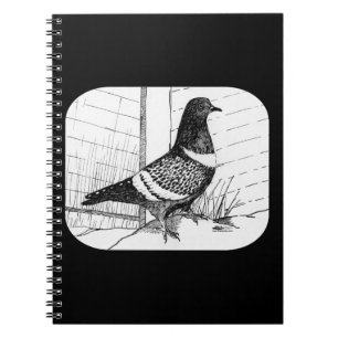 Starling Pigeon 1973 Notebook