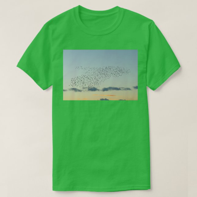 Starling whale formation Long T-Shirt (Design Front)