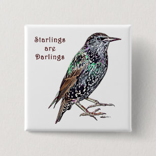Starlings Are Darlings 15 Cm Square Badge