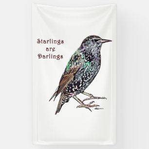 Starlings Are Darlings Banner