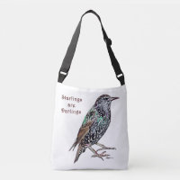 Starlings Are Darlings