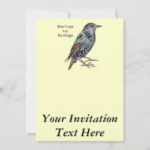 Starlings Are Darlings Invitation