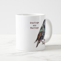 Starlings Are Darlings