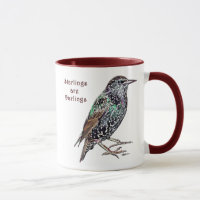 Starlings Are Darlings