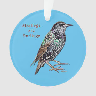Starlings Are Darlings Ornament
