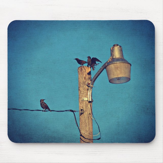 Starlings Mouse Mat (Front)