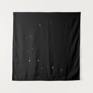 Starlit Moon  Tapestry