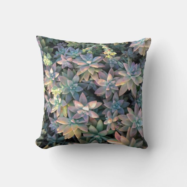 Starry Cactus Plant with Pink, and Green Embellish Cushion (Front)