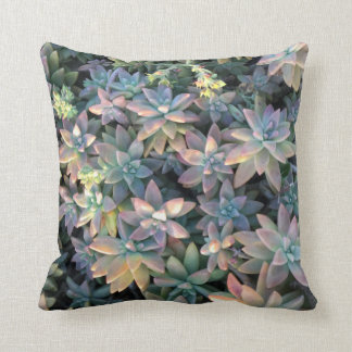 Starry Cactus Plant with Pink, and Green Embellish Cushion