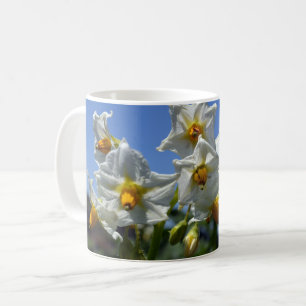 Starry flowers Solanum tuberosum Coffee Mug