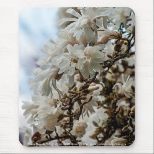 Starry Magnolia 5781 Mouse Mat
