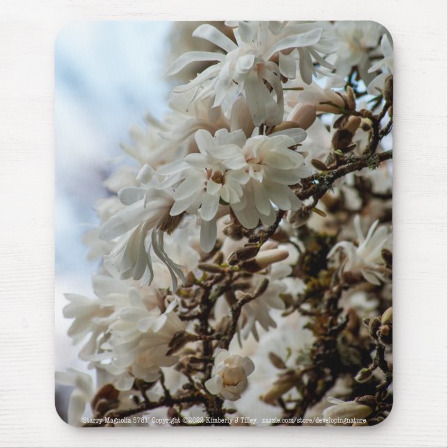 Starry Magnolia 5781 Mouse Mat (Front)