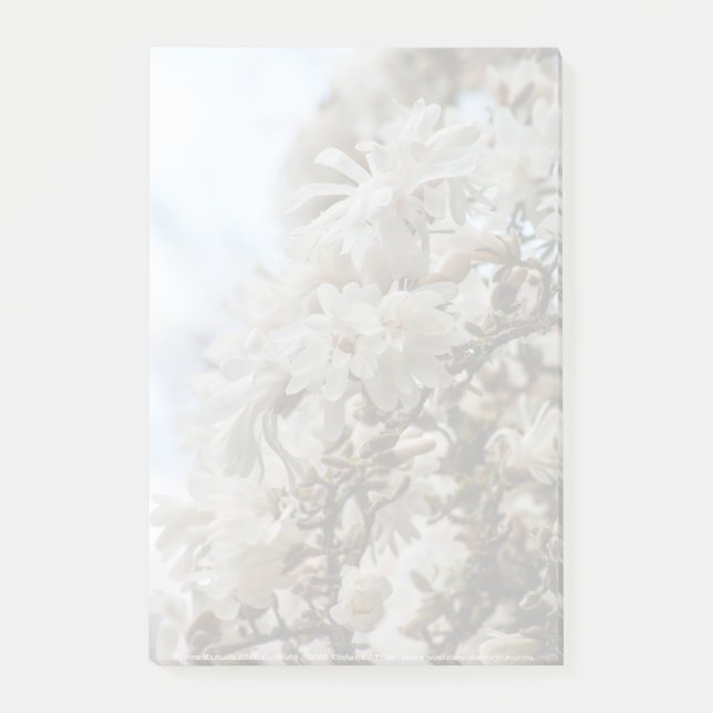 Starry Magnolia 5781 Post-it Notes (Front)