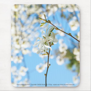 Starry Magnolia 6490 Mouse Mat