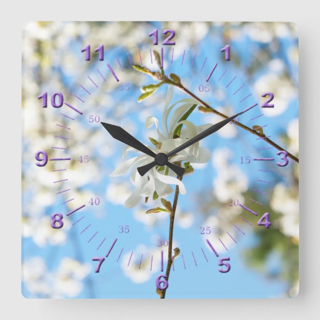 Starry Magnolia 6490 Square Wall Clock (Front)