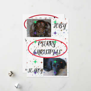 Starry Merry Christmas Pet Duo Red Oval Holiday Card