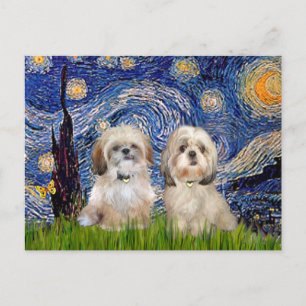 Starry Night - 2 Sihih Tzus (P+Y) Postcard
