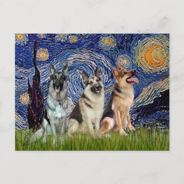 Starry Night - 3 German Shepherds Postcard (Front)