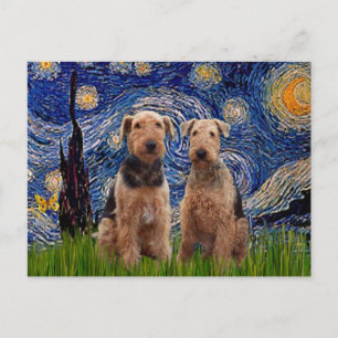 Starry Night - Airedale Terriers (two) Postcard