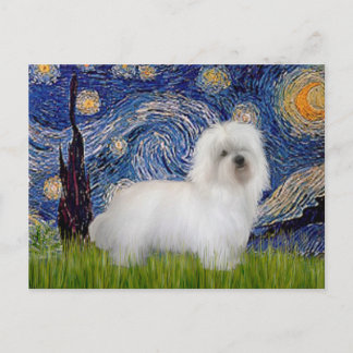 Starry Night - Coton de Tulear 5 Postcard