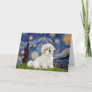 Starry Night - Coton de Tulear 7 Card