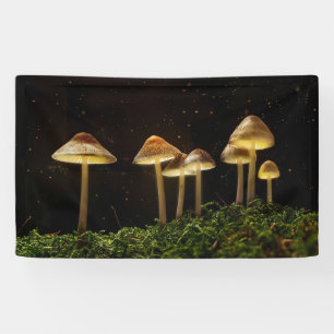 Starry Night Glowing Mushrooms  Banner