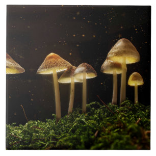 Starry Night Glowing Mushrooms  Tile