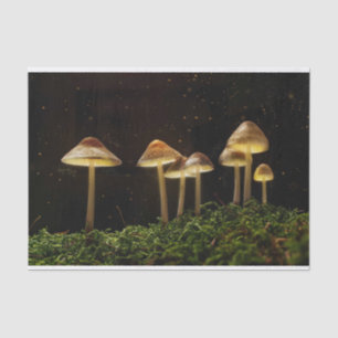 Starry Night Glowing Mushrooms  Tissue Paper