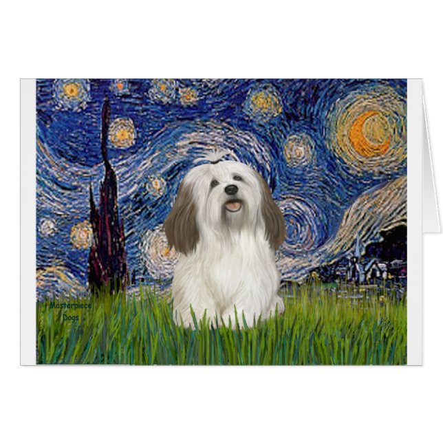 Starry Night - Havanese (#1) (Front Horizontal)