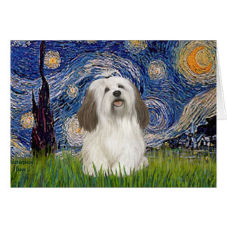 Starry Night - Havanese (#1)