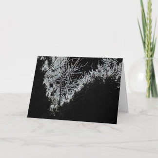 Starry Night Holiday Card