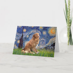 Starry Night — New Scotia Duck Rolling Retriever Card