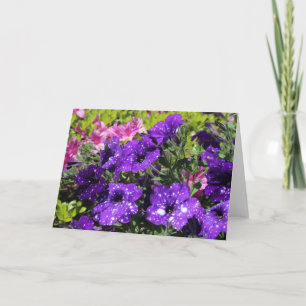 Starry Night Petunia flower greeting card