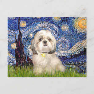 Starry Night - Shih Tzu (Y) Postcard
