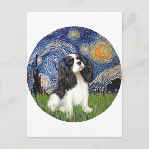 Starry Night - Tri Cavalier #5 Postcard