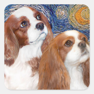 Starry Night - Two Blenheim Cavaliers Square Sticker