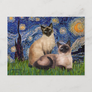 Starry Night - Two Siamese cats (Choc Pt) Postcard