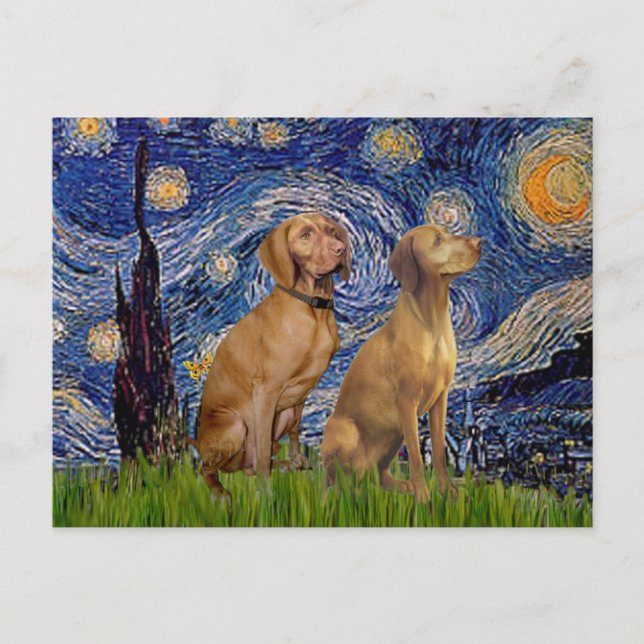 Starry Night - Two Vizslas Postcard (Front)