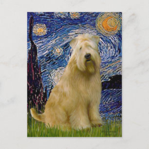 Starry Night (V) - Wheaten Terrier Postcard