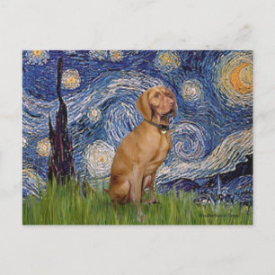 Starry Night - -Vizsla 2 Postcard