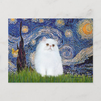 Starry Night - White Persian kitten Postcard