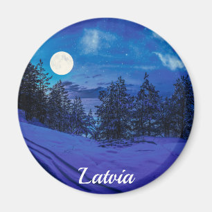 Starry night with full moon in forest magnet