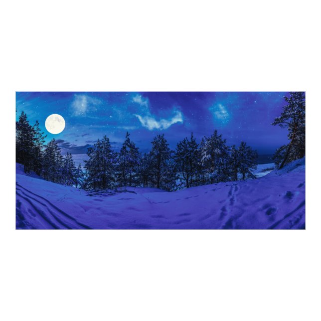 Starry night with full moon in forest photo print (Front)