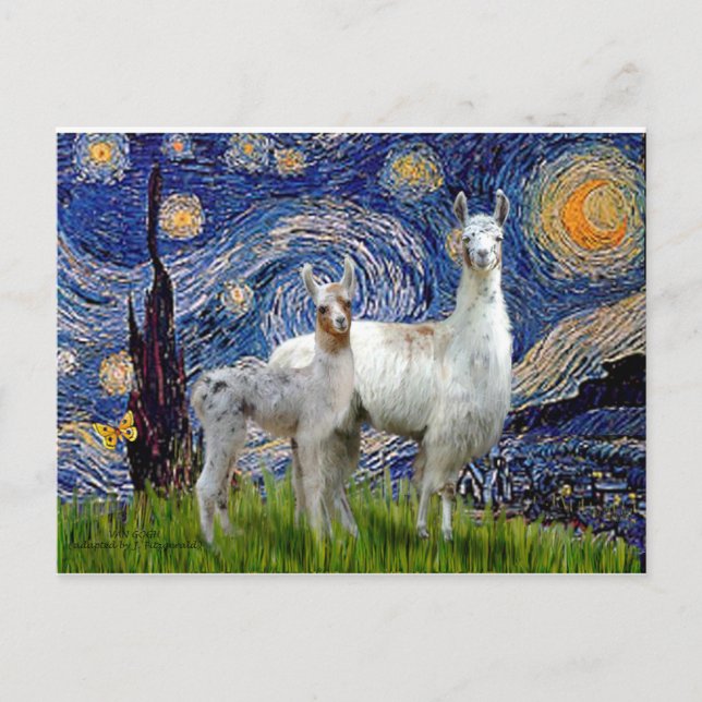Starry Night with Two Llamas Postcard (Front)
