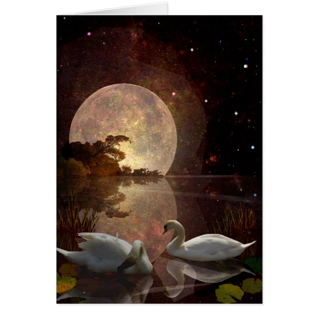 Starry River (Front)