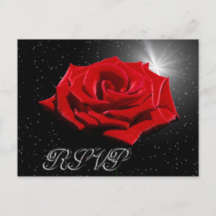 Starry Romantic Night Postcard