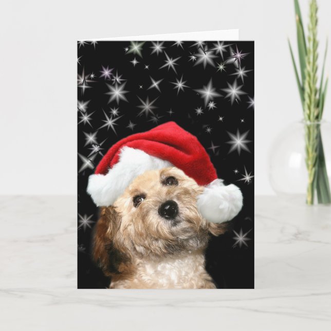 Starry Santa dog Holiday Card (Front)